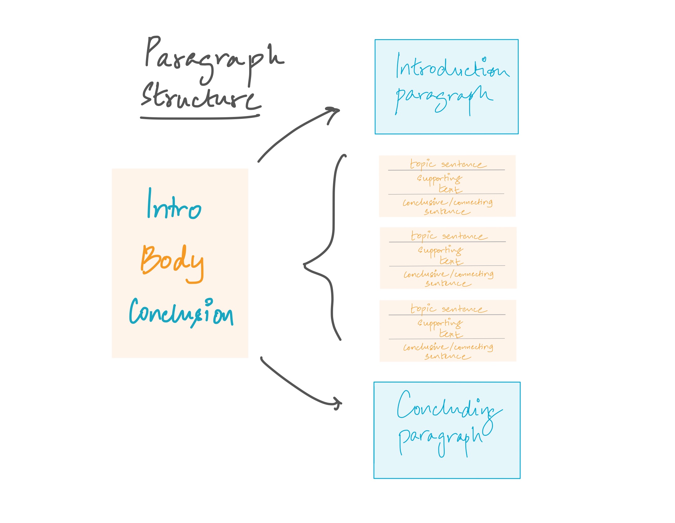 Figure 2. Paragraph Structure. Every paragraph should begin with a topical sentence that describes the contents of the paragraph briefly. The body of the paragraph elaborates on the topic giving more detailed insights. Finally, the concluding remark can also act as a connecting sentence to give way to the content of the next paragraph. This can also be omitted at times.